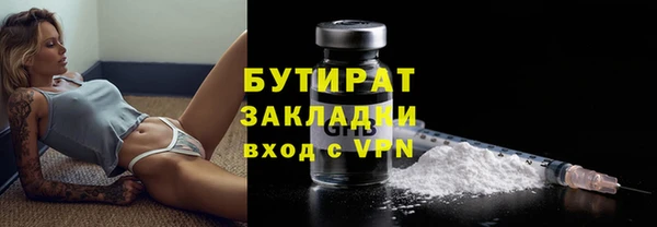 прущие грибы Верхний Тагил