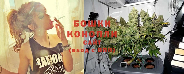 ГАЛЛЮЦИНОГЕННЫЕ ГРИБЫ Бронницы