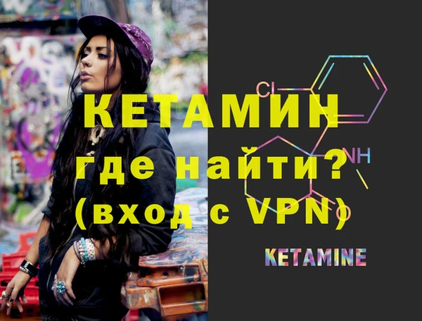 прущие грибы Богданович